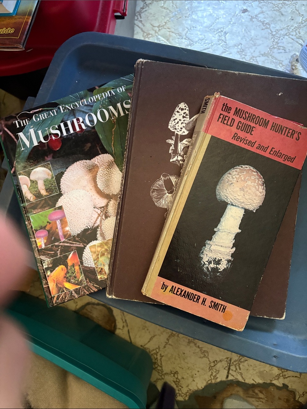Lot of 3 Vintage Mushroom Field Guide by - Black & Red Cover
